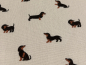 Preview: Canvas | Dackel | creme, schwarz, braun