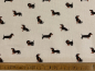 Preview: Canvas | Dackel | creme, schwarz, braun