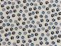 Preview: Canvas | Pfoten | blau