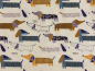 Preview: Canvas | Dackel | offwhite, mehrfarbig