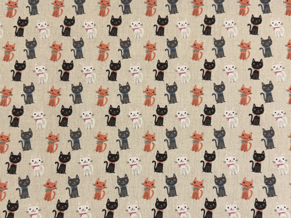 Canvas | glückliche Katzen | natur, mehrfarbig