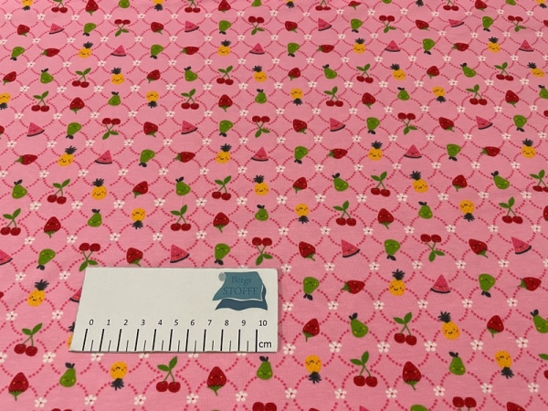 Jersey Baumwoll-Stoff Früchte Rosa Bunt Nr 3844