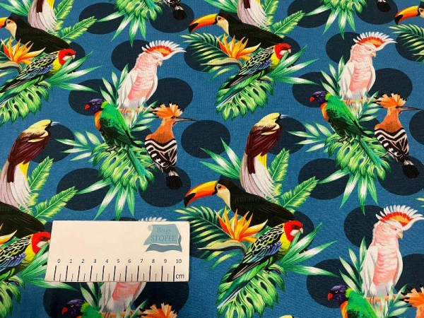 Jersey Baumwoll-Stoff Vögel Blau Bunt Nr 4108