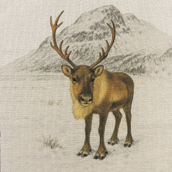 Hirsch - Panel 85